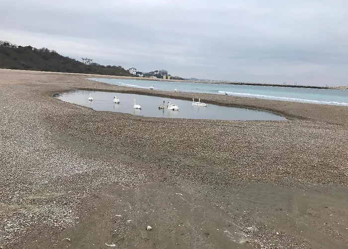 Claudia 3* Eforie Sud (Constanta)